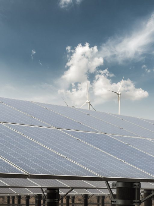 fabrique-theme-14 fabrique-theme-14