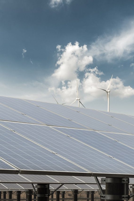 fabrique-theme-14 fabrique-theme-14